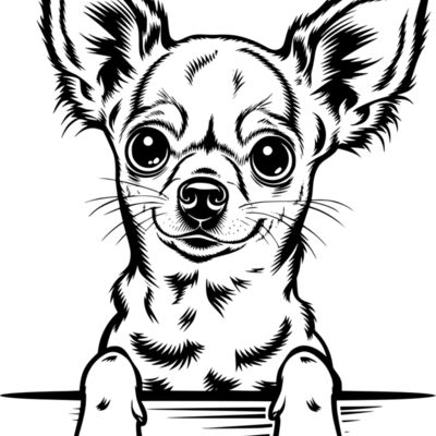 Peeking Chihuahua Thumbnail